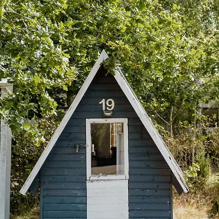 Blue With For Fun And Comfort *